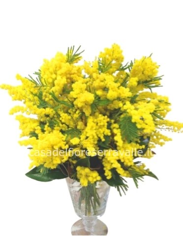 Bouquet di mimosa con fiori della casa