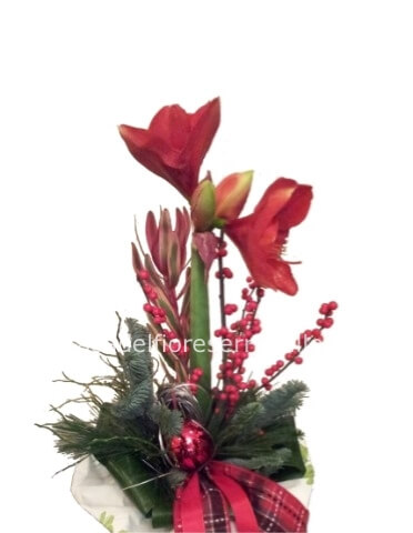 Mazzo di fiori con amarillys