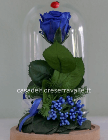 Campana con rosa stabilizzata blu
