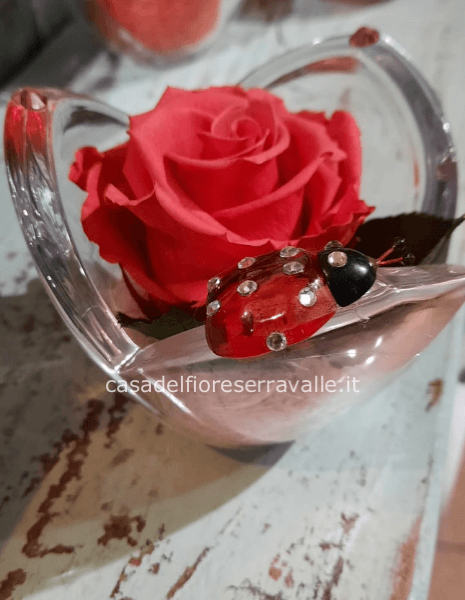 rosa rossa stabilizzata in calice di vetro con swarovsky