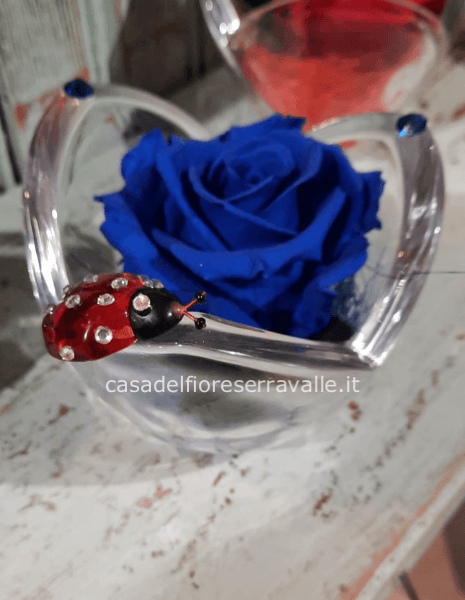 Rosa blu stabilizzata in calice di vetro con Swarovsky