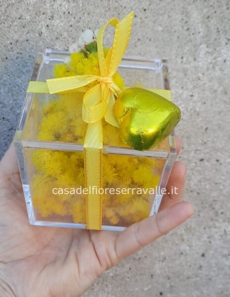 cubo di mimosa 8x8